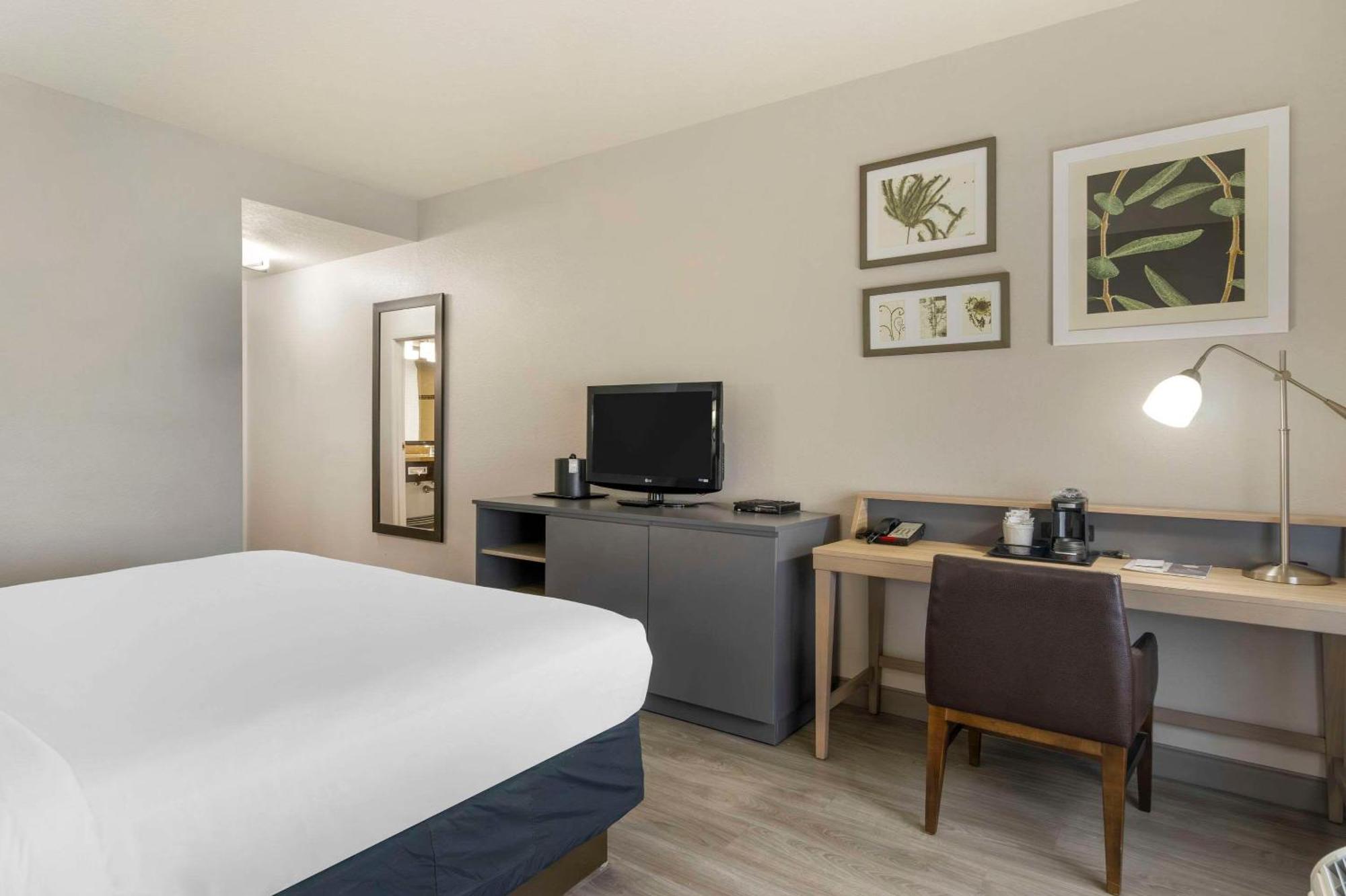 Country Inn & Suites By Radisson, Tampa Airport North, Fl ภายนอก รูปภาพ