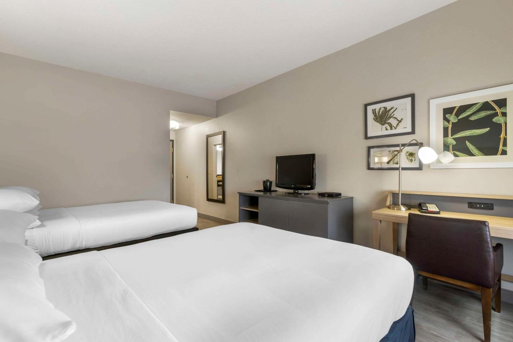 Country Inn & Suites By Radisson, Tampa Airport North, Fl ภายนอก รูปภาพ