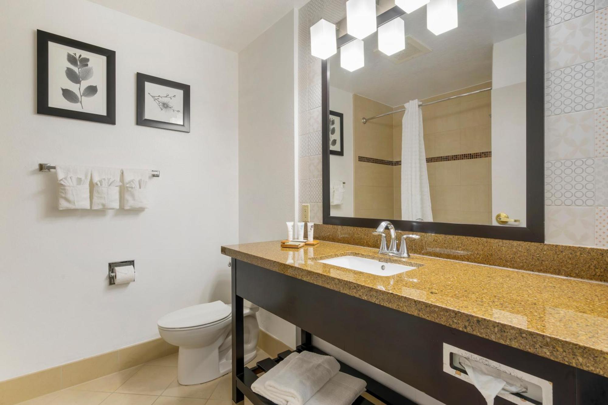 Country Inn & Suites By Radisson, Tampa Airport North, Fl ภายนอก รูปภาพ
