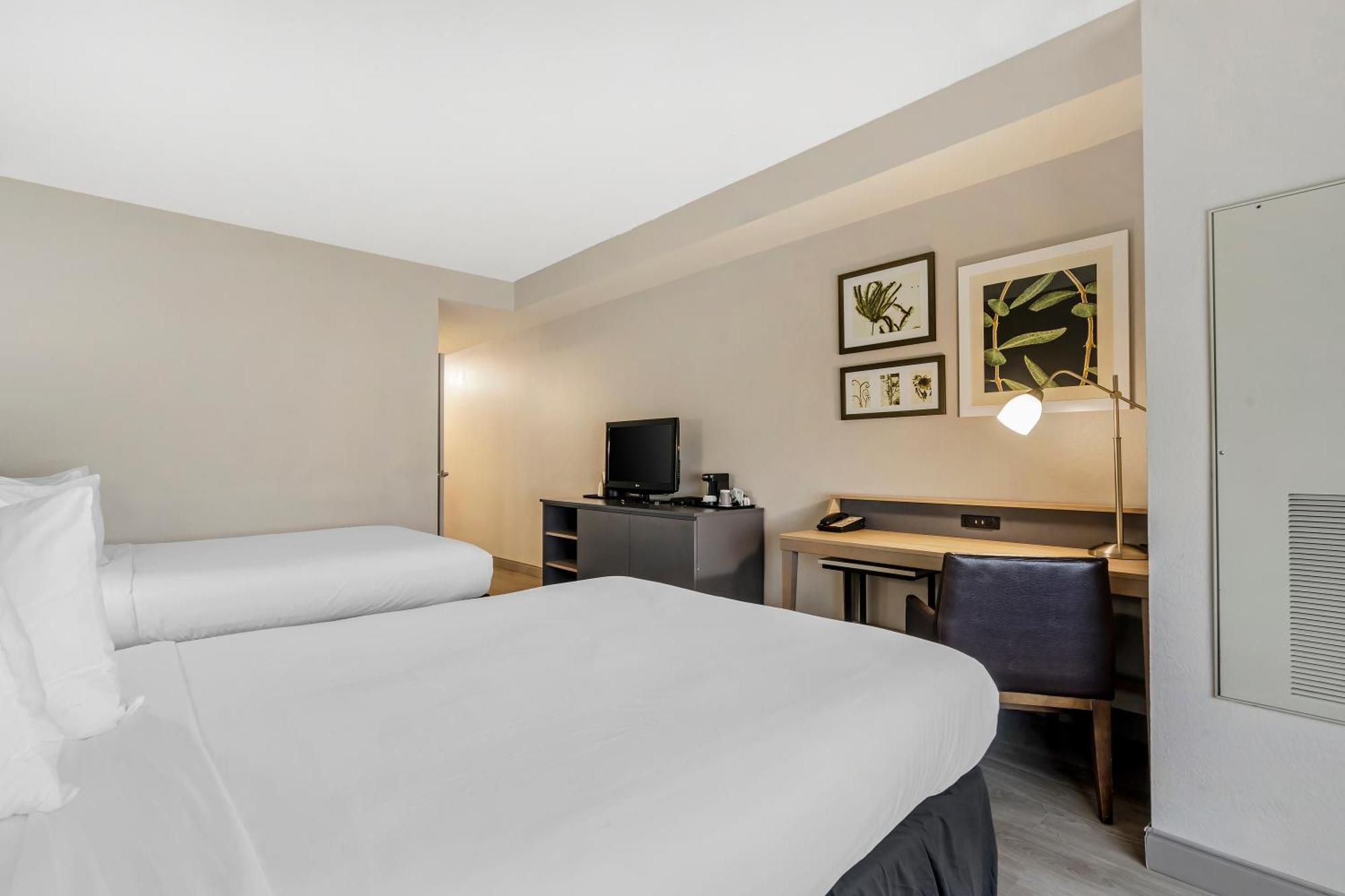 Country Inn & Suites By Radisson, Tampa Airport North, Fl ภายนอก รูปภาพ