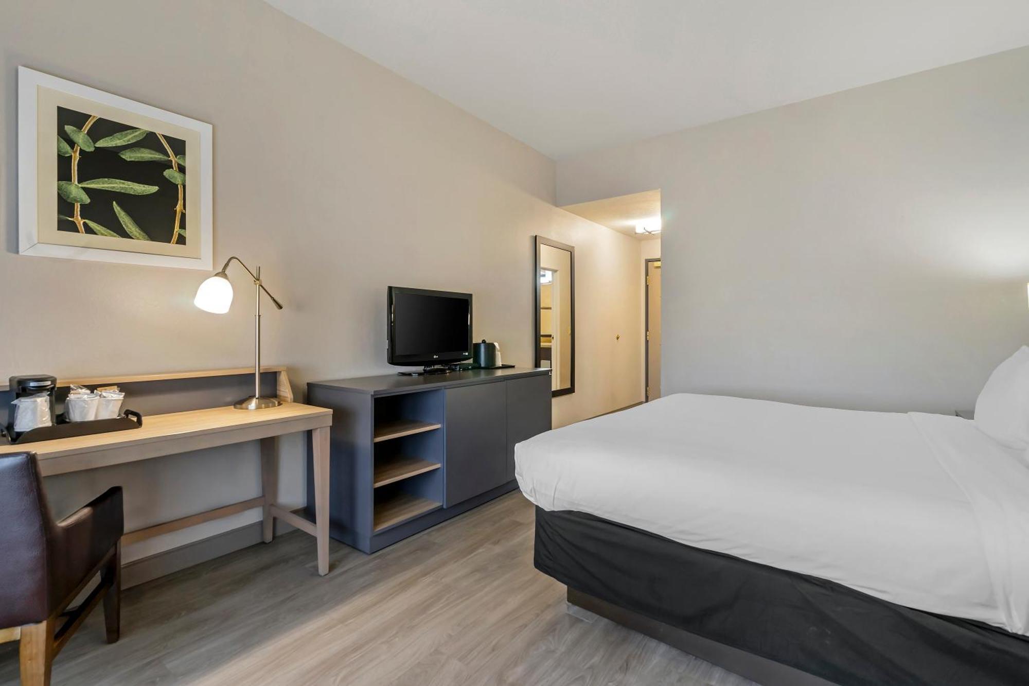 Country Inn & Suites By Radisson, Tampa Airport North, Fl ภายนอก รูปภาพ